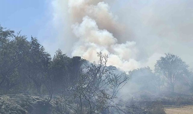 Turgutlu'da orman yangını evlere sıçradı