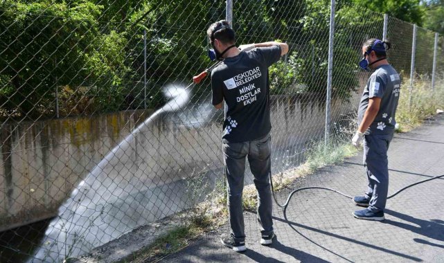 Üsküdar Belediyesi tarafından vektörlerle mücadele devam ediyor