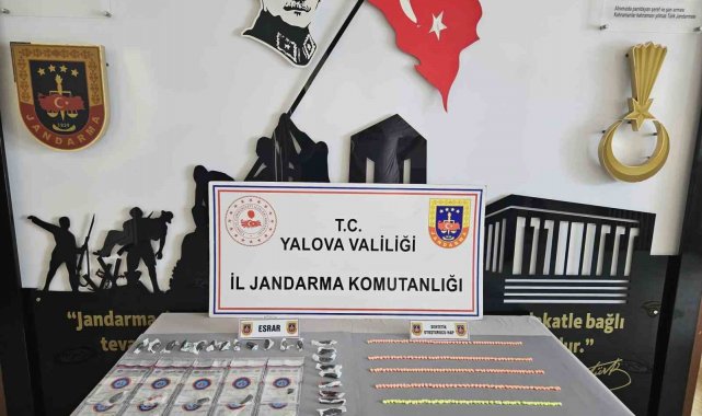 Yalova'da uyuşturucu operasyonu: 1 gözaltı