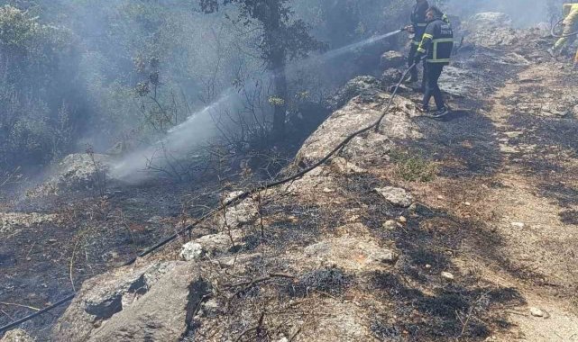 Yayladağı'nda orman yangını