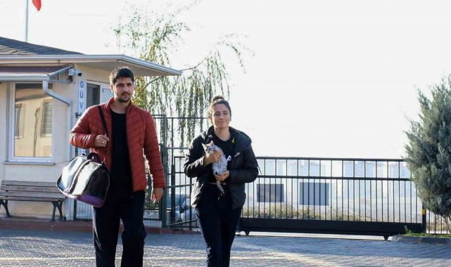 266 can dostu yeni yuvasına kavuştu