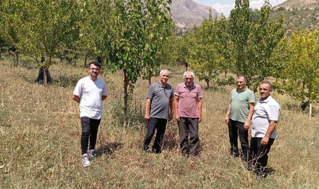 74 yaşındaki Kemaliyeli öğretmen 19 bin ağacı toprakla buluşturdu