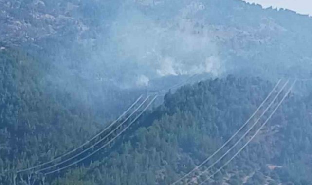 Adana'da orman yangınına müdahale eden helikopter düştü