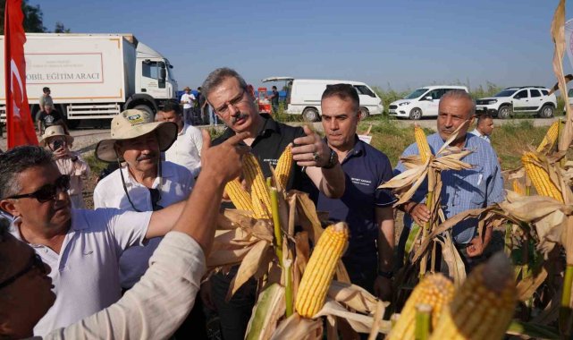 Adana'da yerli ve milli mısır çeşidi görücüye çıktı