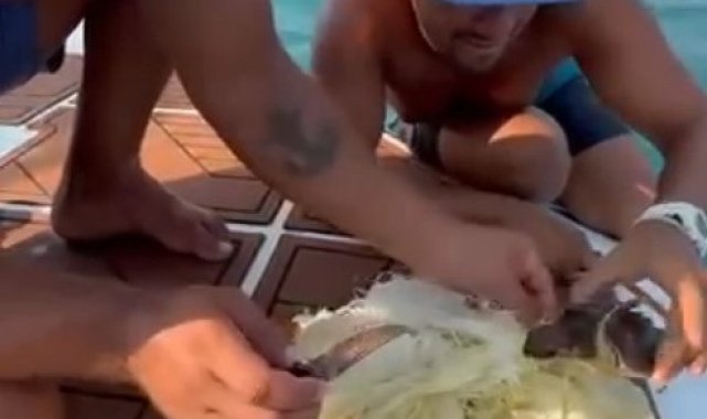 Alanya'da çuvala dolanan caretta caretta yavrusu kurtarıldı
