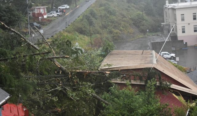 Alaska'da toprak kayması: 1 ölü