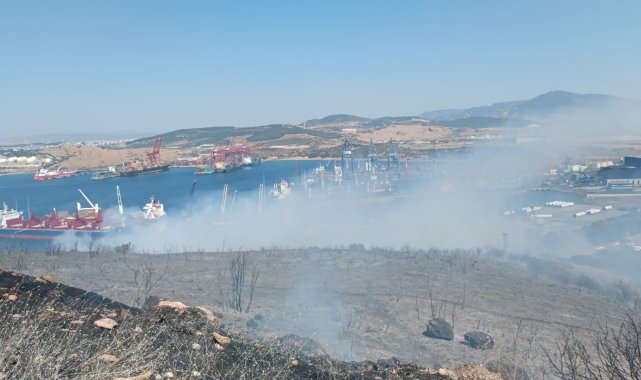 Aliağa'daki orman yangını kontrol altında