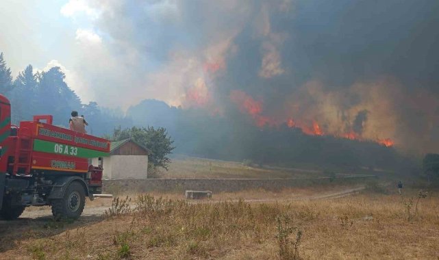 Ankara Kızılcahamam'da ormanlık alanda yangın çıktı