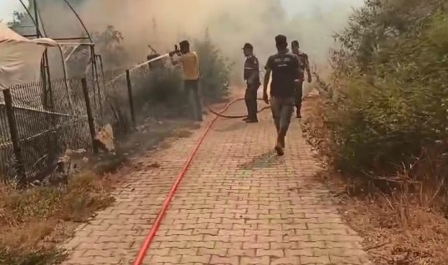 Aydın'daki yangın yerleşim yerlerine sıçradı