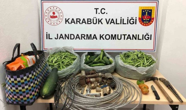 Bahçeden çaldıkları poşet poşet salatalık ve fasulyelerle ormanda yakalandılar