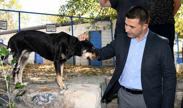 Başkan Günel: "Şartlar ne olursa olsun can dostlarımızı yaşatacağız"
