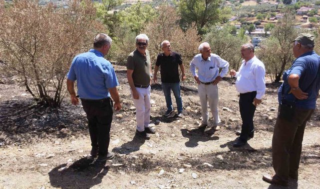 Baştuğ, Yatağan'da yanan zeytinlik alanlarda incelemelerde bulundu