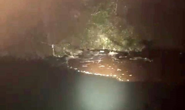 Bolu Valiliği çevre katili Beypiliç, Erpiliç ve Akpiliç'e ağır ceza uygulaması