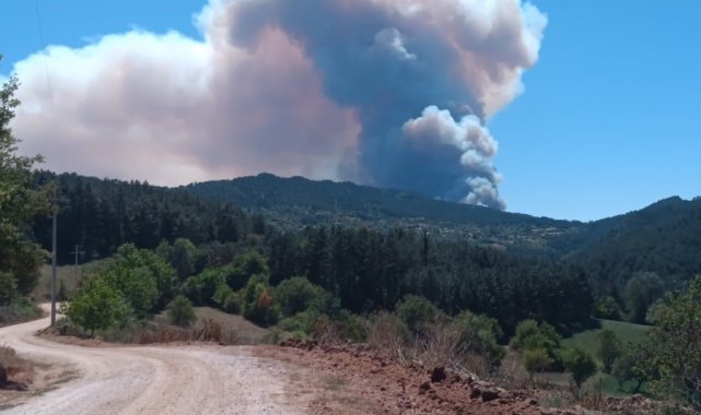 Bolu'da 2 ilçe arasında orman yangını başladı: Dumanlar gökyüzünü kapladı
