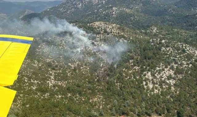 Burdur'da yıldırım düşmesi sonucu çıkan orman yangını söndürüldü