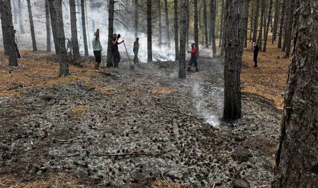 Çankırı'da yıldırımın düştüğü ormanda yangın çıktı
