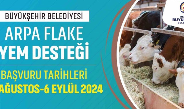 Denizli Büyükşehir büyükbaş hayvan üreticilerine yem desteği sağlayacak