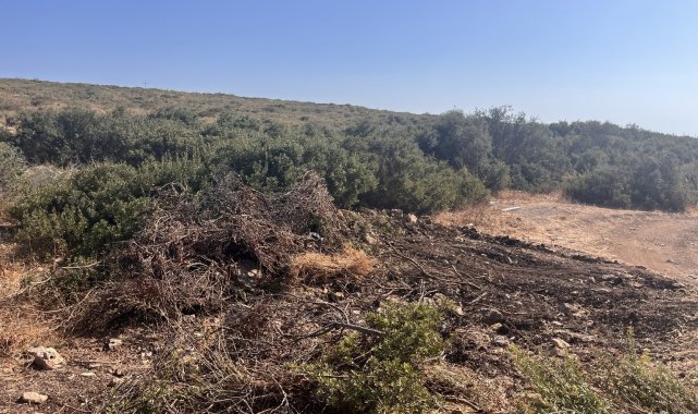 Didim'de hazine arazisinde izinsiz yer açan şahıs jandarmaya takıldı