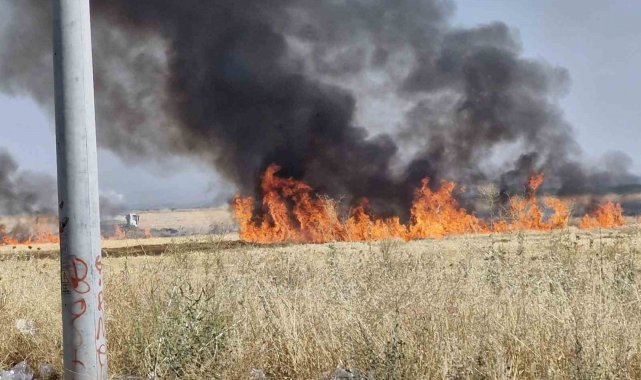 Diyarbakır'da çıkan anız yangını söndürüldü