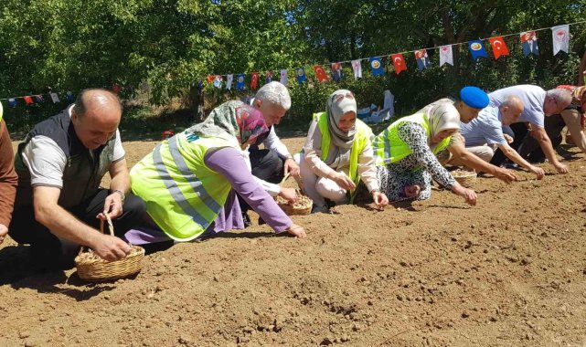 Dünyanın en pahalı baharatı safranın üretimine ORKÖY'den destek
