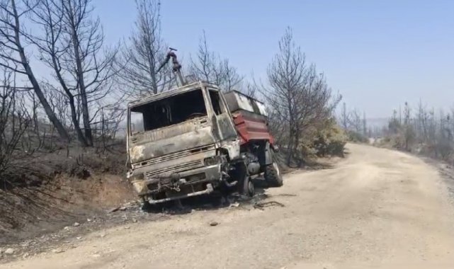 Eceabat'taki orman yangınında bir arazöz yandı