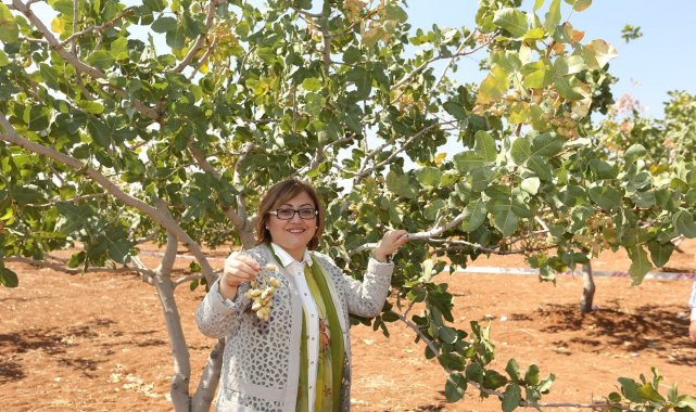 GastroAntep Kültür Yolu Festivali ile Gaziantep'in mutfak ve kültür zenginliği yeniden dünya sahnesinde