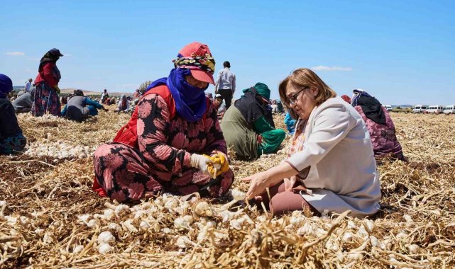 Gaziantep'te "Haydi Tarladan Sofraya" projesi ile çiftçi ile tüketici buluşturulacak