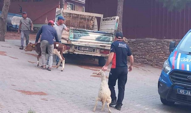 Gördes'te başlayan yangın Salihli'ye ulaştı