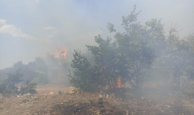 Han'da çıkan yangın büyümeden söndürüldü