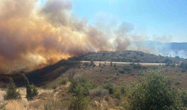 İzmir'de ormana sirayet eden yangına havadan ve karadan müdahale