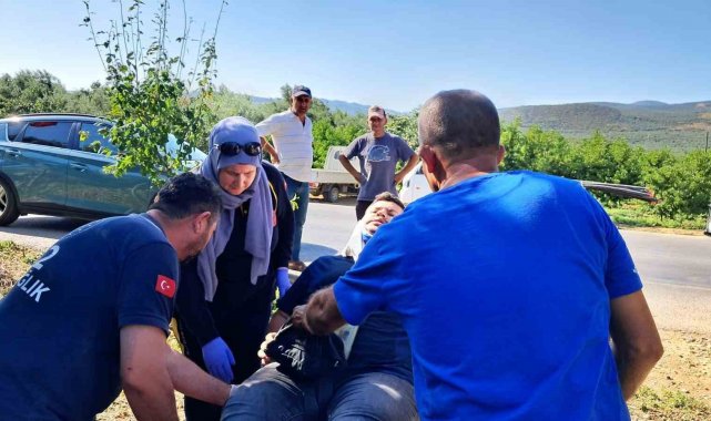 İznik'te bir otomobil sebze tezgahına çarptı