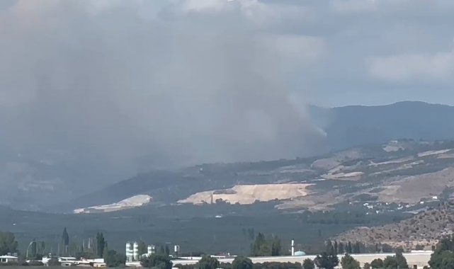 İznik'te korkutan orman yangını
