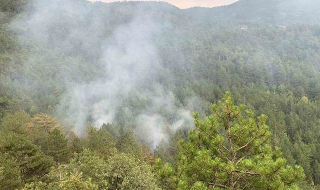 Karabük'te düşen yıldırım orman yangını çıkardı