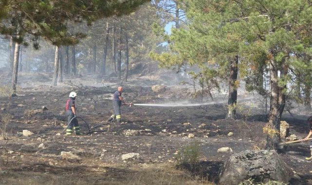 Kastamonu'da çıkan orman yangını söndürüldü