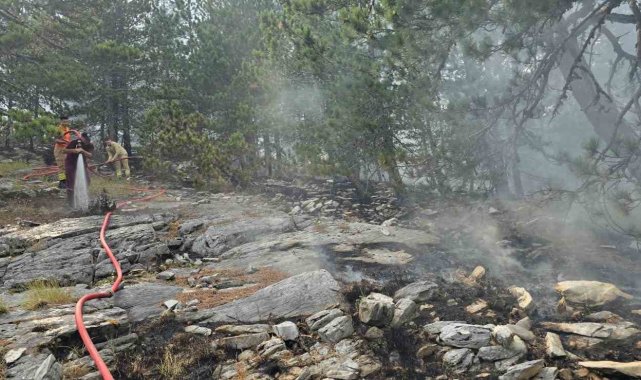 Kazdağları'nda yangına havadan müdahale sürüyor