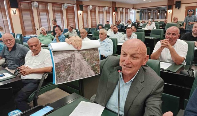 Kul: "185 adet kum zambağının yeri değiştirilerek, koruma altına alındı"