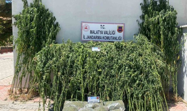 Malatya'da 36 kilo esrar ele geçirildi