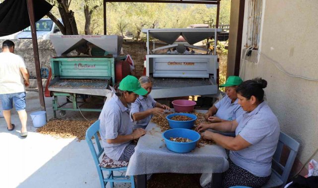 Muğla'nın tarımsal ürünleri dünyaya açılıyor