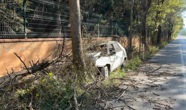 Otomobilin çarptığı ağaç üzerine devrildi, yangın çıktı: 1 yaralı