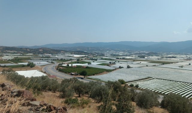 Sarıgöl ovası soğuk hava deposuna dönüştü
