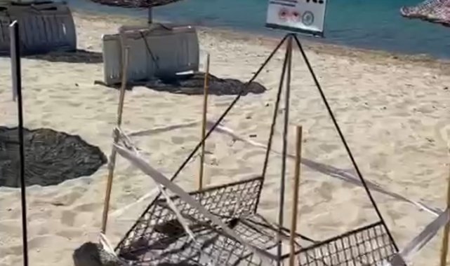 Saros Körfezi'nde yavru caretta carettalara koruma