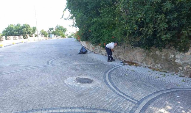 Şeyh Edebali Türbesi'nde kapsamlı temizlik