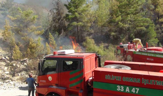 Silifke'de 250 dönüm ormanlık alan yandı
