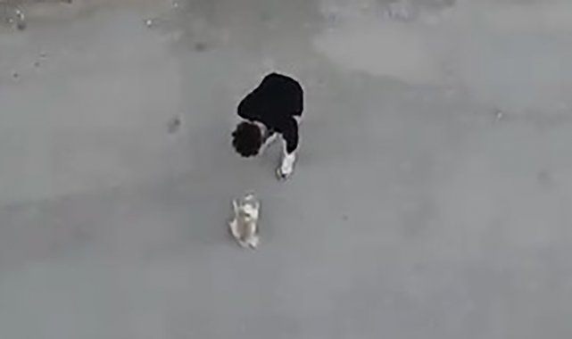 Sokak ortasında köpeğine eziyet eden şahıs sevk edildiği mahkemece serbest bırakıldı
