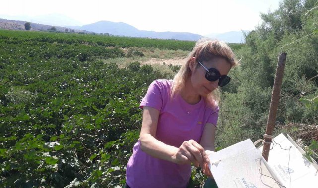 Söke'de tuzak kontrolleri yapıldı