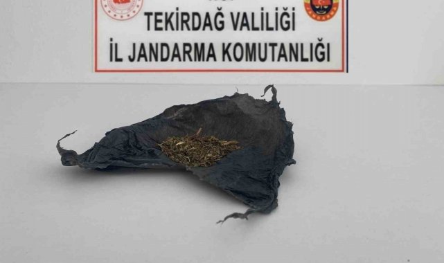 Tekirdağ'da uyuşturucu operasyonları: Bonzai ve esrar ele geçirildi