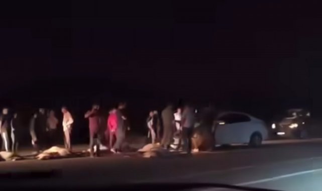 Van'da otomobil sürüye çarptı: 21 koyun telef oldu
