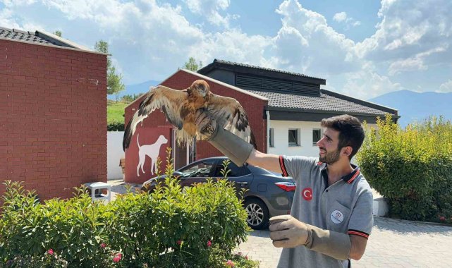 Yaban dostları doğal hayatlarına kavuştu
