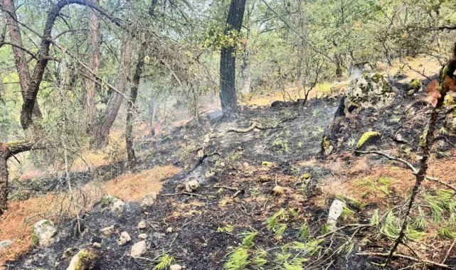 Yıldırım kaynaklı orman yangınına, havadan ve karadan müdahale