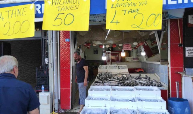 Av yasağı bitti, tezgahlar palamutla doldu
